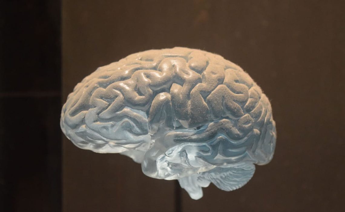 brain-3120178_1280 (1)