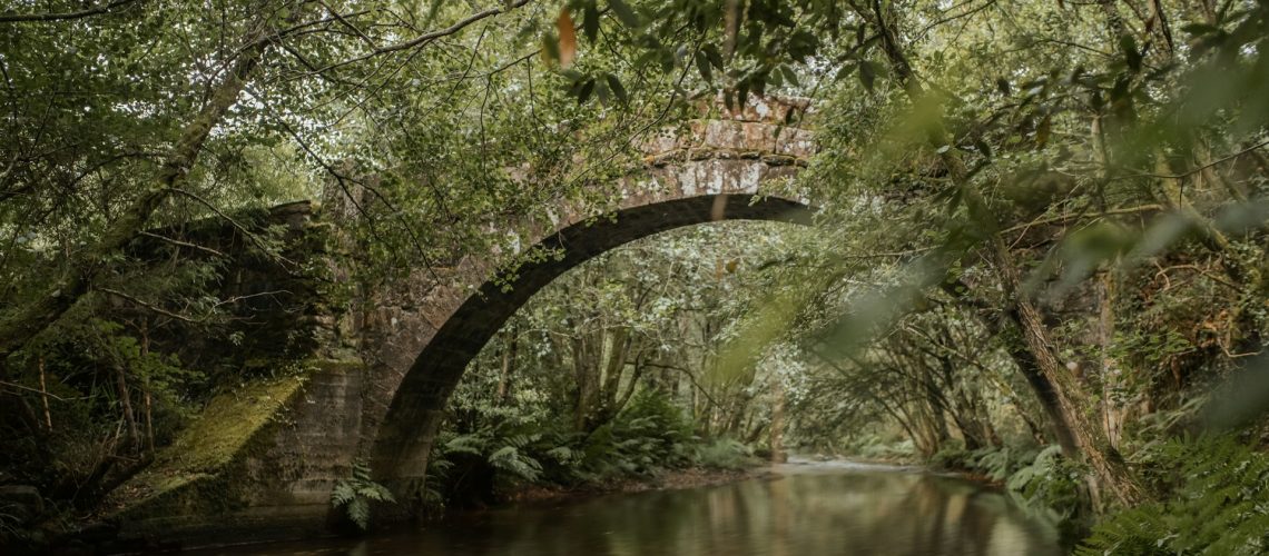 lydia-logga-TTOp7wU7P5M-unsplash