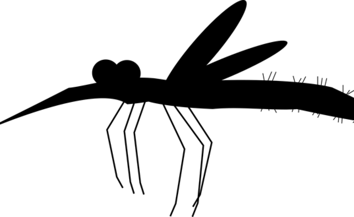 mosquitos